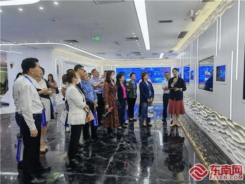 對接創(chuàng)新項目 點贊廈門發(fā)展 金磚國家華僑華人有 話 說