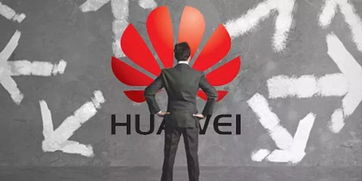 王峰評論馮鑫 等他出來喝酒 科創(chuàng)板首周運行平穩(wěn),總市值超5000億元 哪吒之魔童降世 首周票房破7億